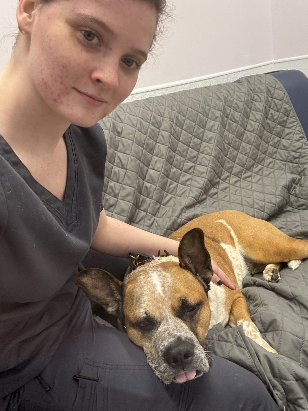 Abby in scrubs at the clinic beside a resting cattle-dog mix.