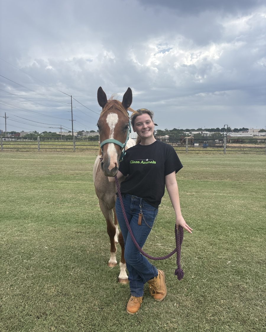 Abby leading a chestnut horse by a rope halter in a pasture.