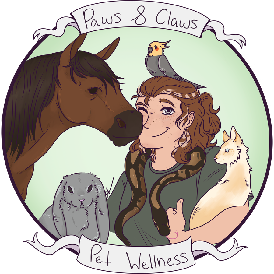 Paws & Claws Pet Wellness logo: an illustrated portrait of Abby with a horse, a cockatiel on her head, a ball python around her shoulders, a rabbit, and a cat.